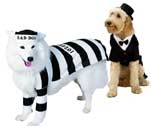 Fancy Dress Clothes For Dogs
